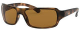 Ray-Ban 4073 642 Classic Tortoise Shell Sunglasses Standard