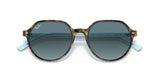Ray-Ban 0RB2195 Blue Lens Acetate Men's Sunglasses 51mm
