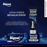 Signal White Now Whitening Toothpaste - Instant 3x Whitening, Stain Removal - 2.54 fl oz