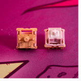 Salmon Tactile Switch
