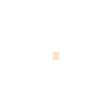 Shiseido Pureness Matifying Compact Oil-Free Foundation 11g