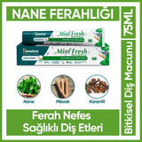 Himalaya Mint Fresh Toothpaste for Long-Lasting Breath 75 ml