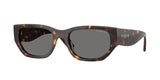 Vogue 0VO5586S W65681 Classic Women's Sunglasses 53mm