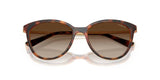Vogue Women's Sunglasses Tortoise Frame Brown Lenses 53mm