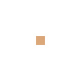 Smashbox Photo Filter Creamy Powder Foundation 5 9.9g