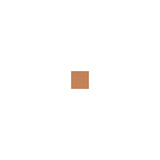 Smashbox Photo Filter Creamy Powder Foundation 8 9.9g