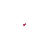 Estee Lauder Pure Color Gloss Wet Cranberry High Shine 5.8ml
